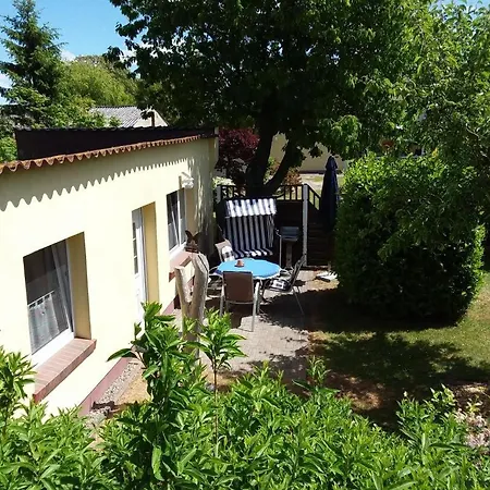 Neu Am Saaler Bodden