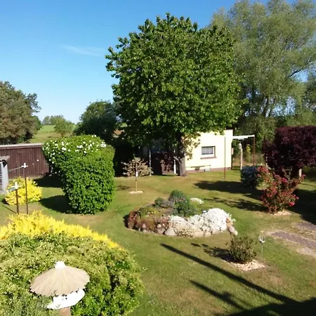 Neu Am Saaler Bodden Lejlighed *